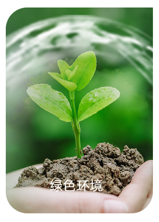 绿色环境